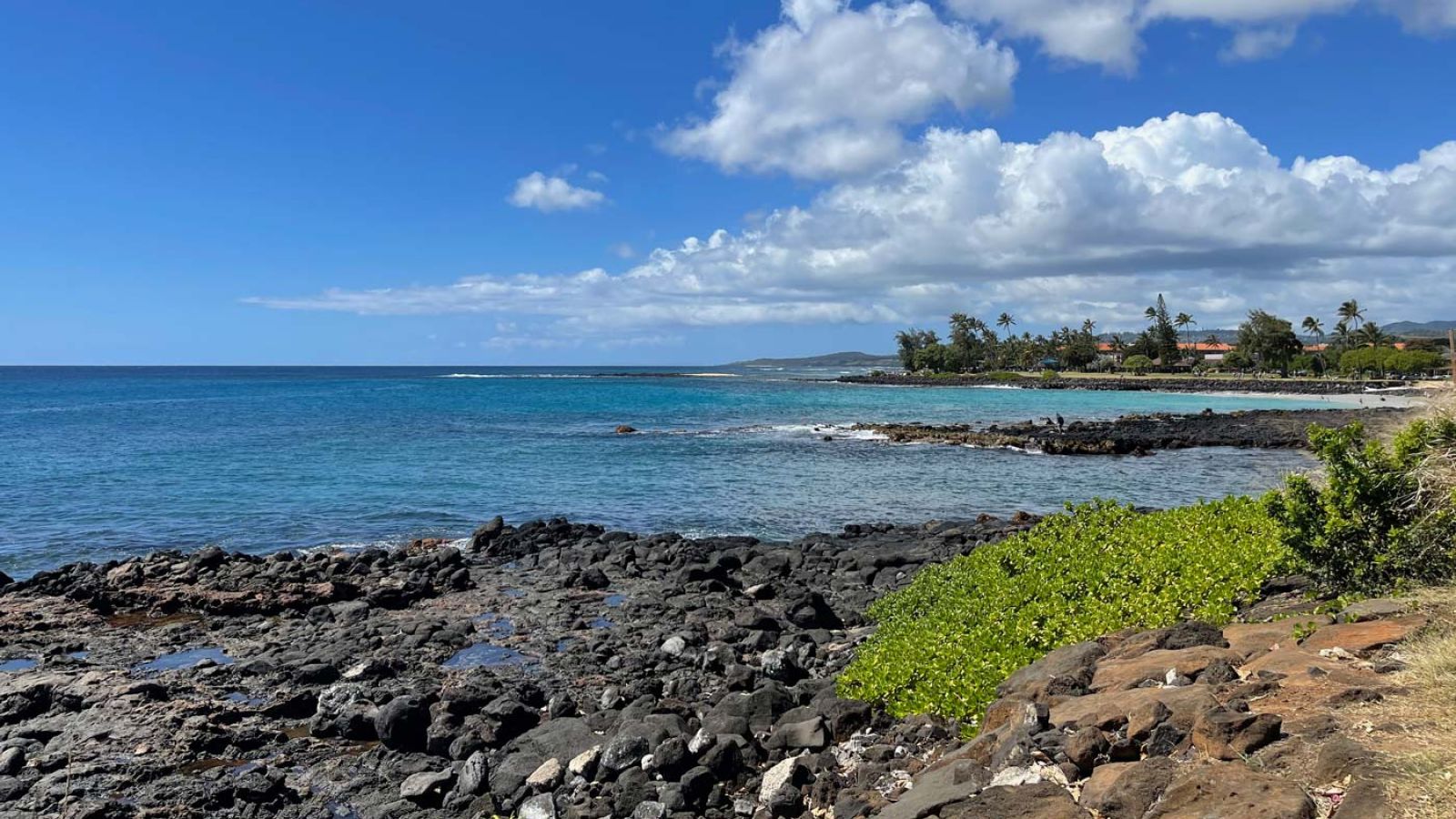 Poipu Shores Poipu coast view