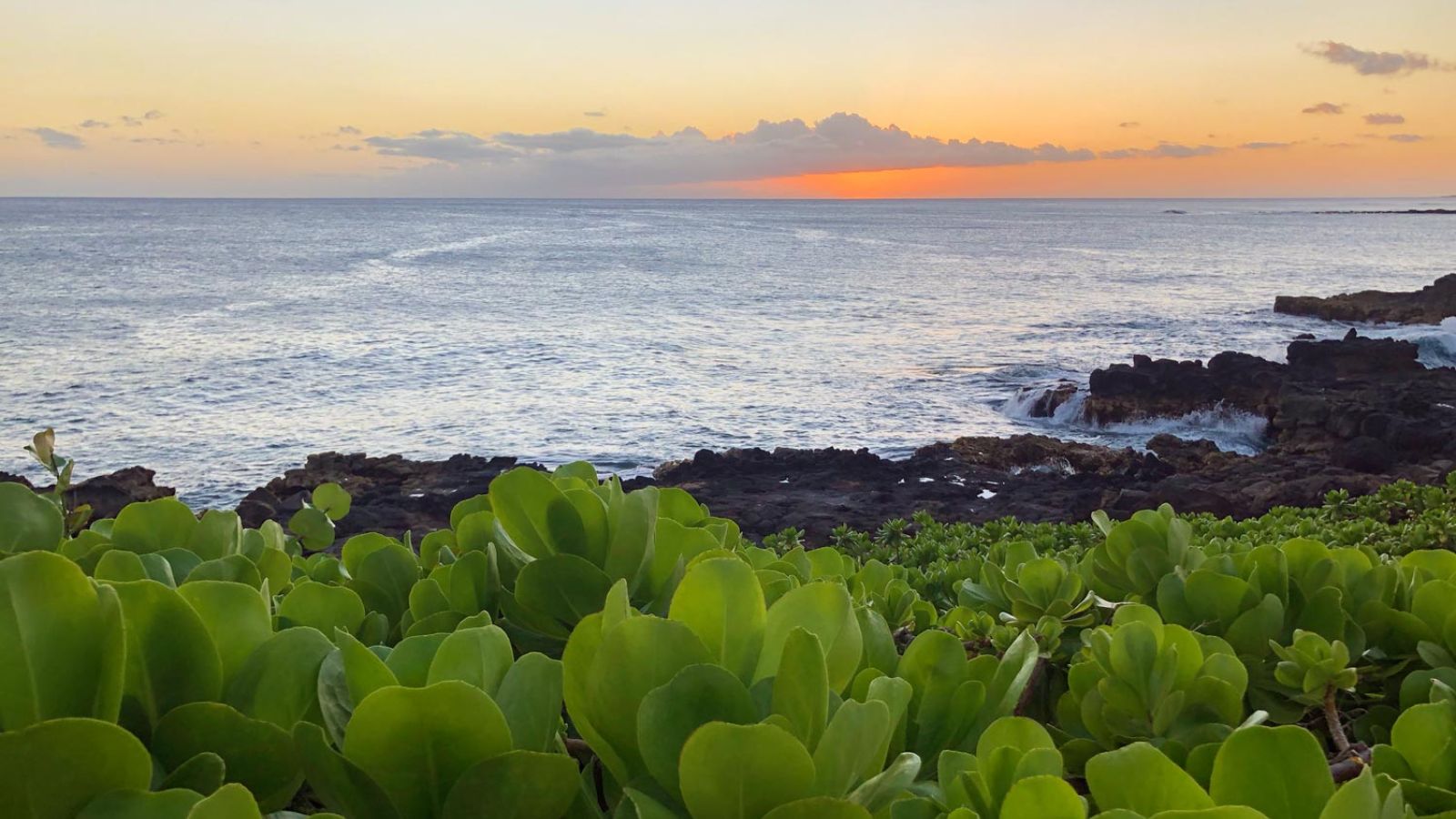 Poipu Shores sunset