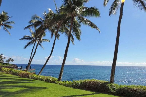 Poipu Shores Lawn